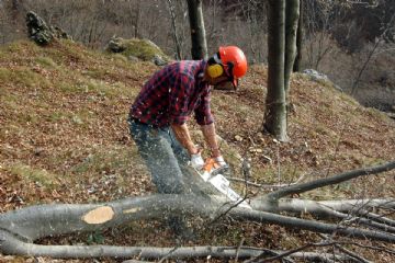Cantieri di Lavoro Over 45